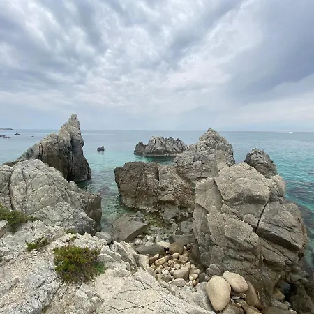 Koralline Tropea